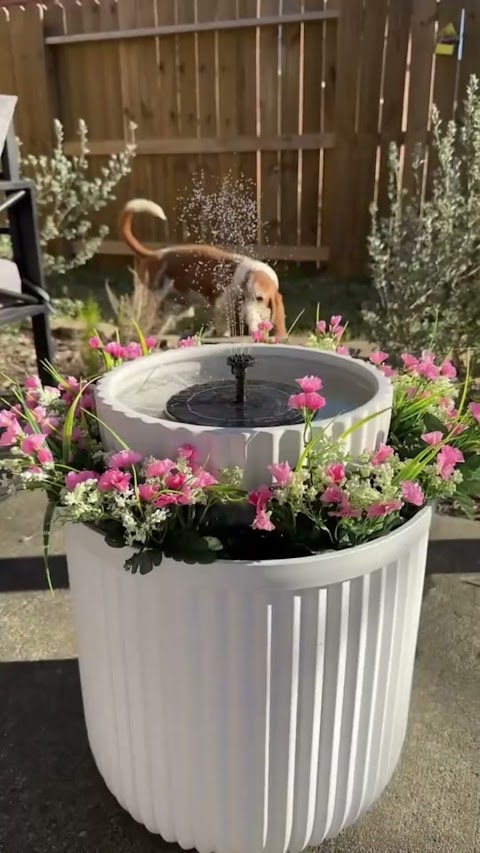 Garden UGC ad